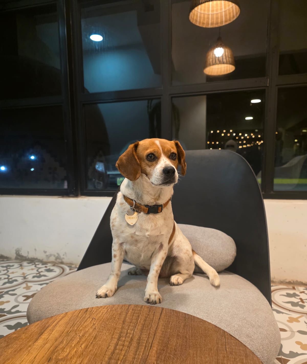 Pet Friendly - Mascota en La Siesta